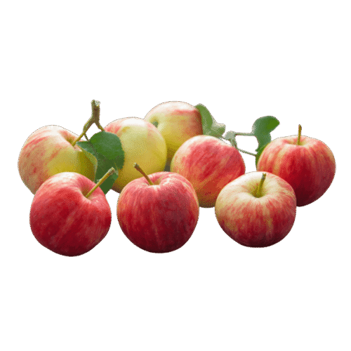 organicc-apples-11-2-1.png Maçã Argentina