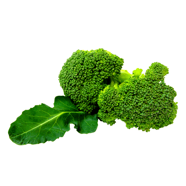 organicc-brocolli-3-2-1.png Risus feugiat