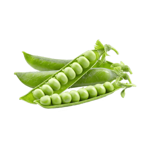 Ervilha Fresca