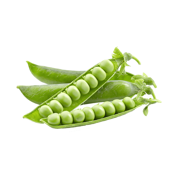 organicc-peas-6-2-1.png Ervilha Fresca